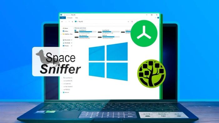 Phân tích điểm mạnh/yếu của WinDirStat so với TreeSize Free và SpaceSniffer