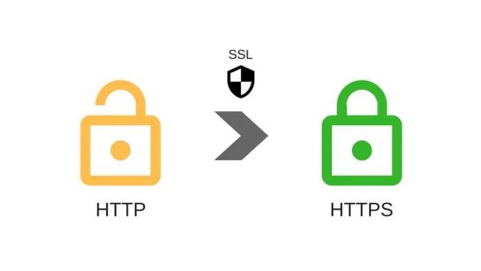 SSL-10