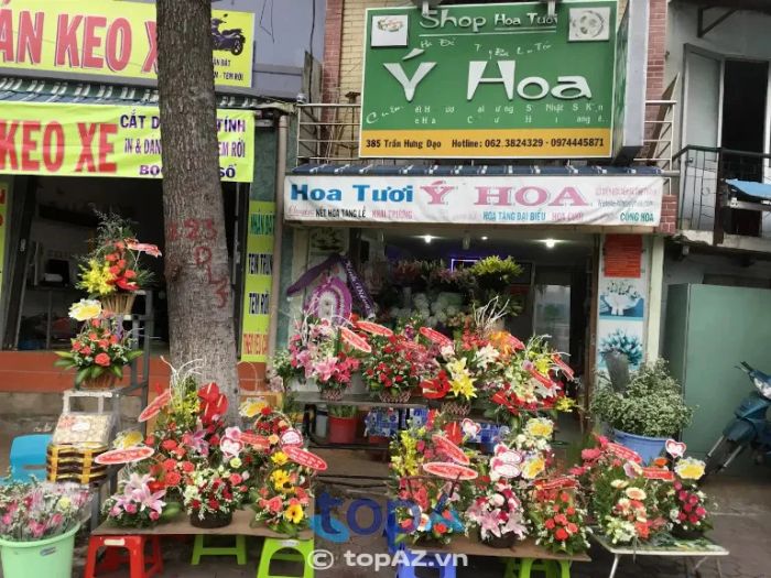 Cửa hàng Ý Hoa – 385 đường Trần Hưng Đạo