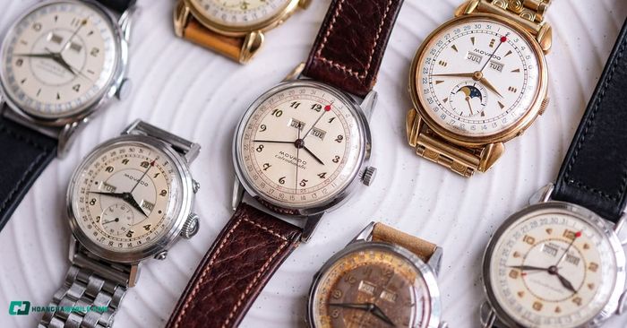 hinh-anh-dong-ho-movado