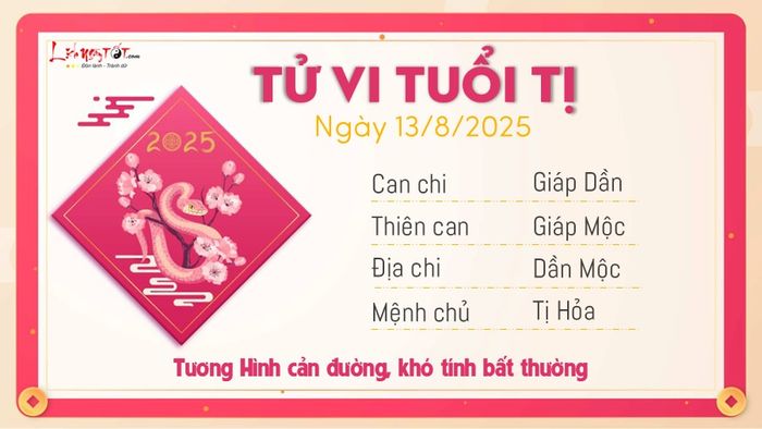 Xem bói ngày 13/8/2025 của người tuổi Tị
