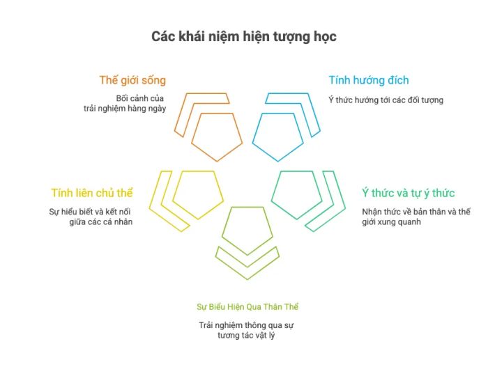 các khái niệm cơ bản của hiện tượng học