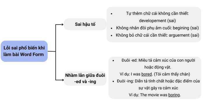 Những sai lầm phổ biến trong quá trình làm bài Word Form