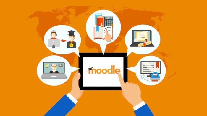 Moodle đóng vai trò như một hệ thống quản lý đào tạo trực tuyến