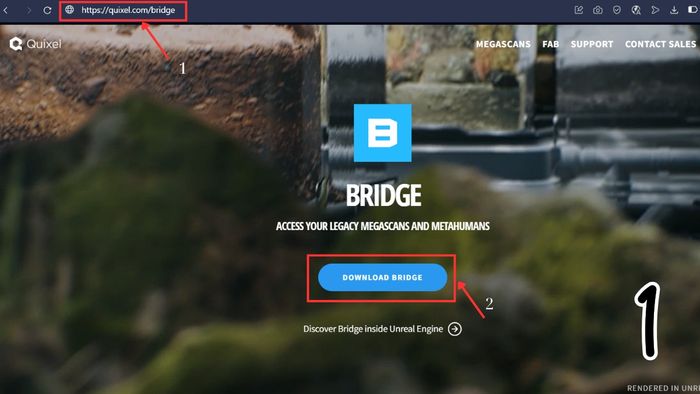 Hãy truy cập đường dẫn tải xuống chính thức của Quixel và nhấn chọn nút Download để bắt đầu quá trình tải về