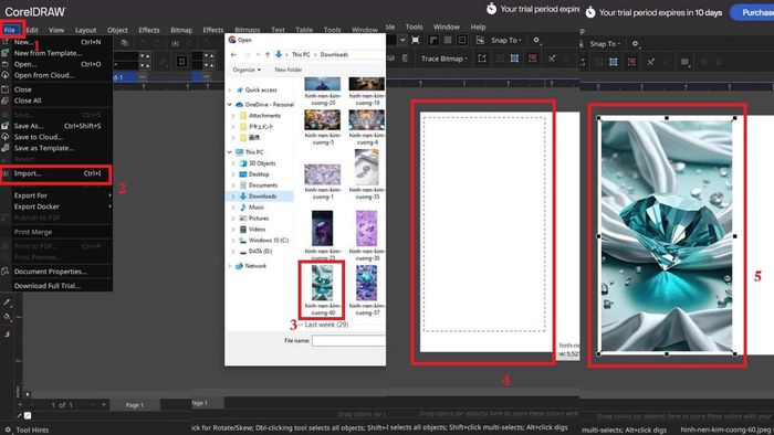 Hướng dẫn convert Bitmap sang Vector bằng Corel - Bước import ảnh