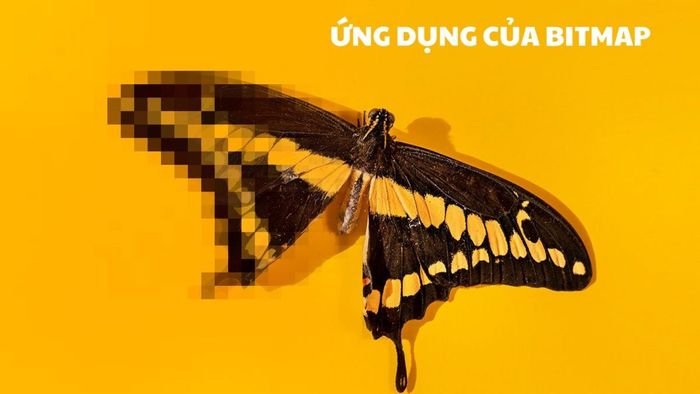 Ảnh Bitmap được ứng dụng như thế nào trong thực tế?