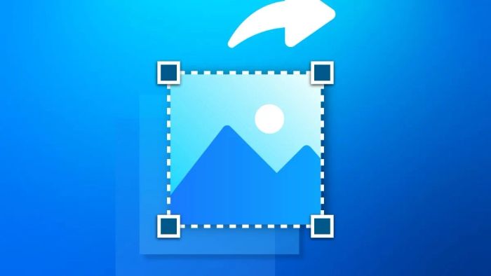 Những tiện ích không ngờ từ việc sử dụng Screenshot