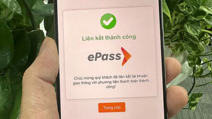 tai-khoan-giao-thong-4