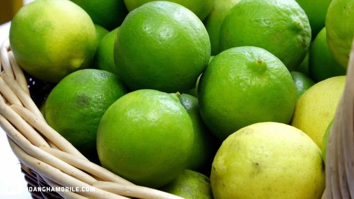 10-bien-phap-loai-bo-chay-don-gian-nhung-hieu-qua-cao-tai-nha-phu-hop-cho-moi-lua-tuoi-9