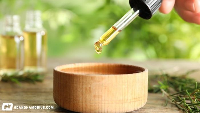 10-meo-diet-chay-an-toan-hieu-qua-co-the-ap-dung-ngay-tai-gia-cho-moi-thanh-vien-10