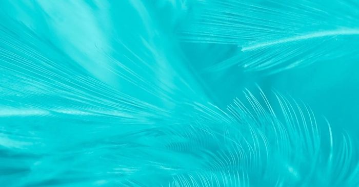 huong-dan-2-phuong-phap-tao-mau-xanh-ngoc-chinh-xac-cho-sac-mau-hoan-hao-10