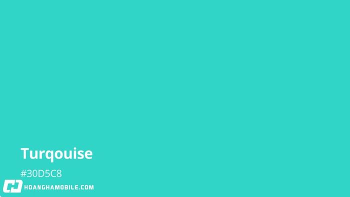 huong-dan-2-phuong-phap-tao-mau-xanh-ngoc-chuan-sac-len-mau-tuoi-sang-1