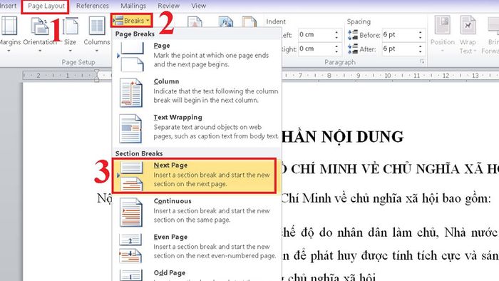 huong-dan-danh-so-trang-word-tuy-chon-1