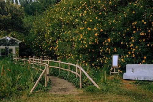 Tử vi tuần mới của Nhân Mã