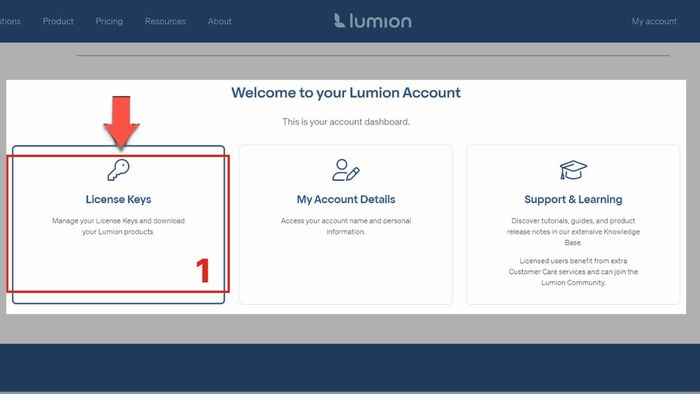 Hướng dẫn chi tiết tải Lumion về máy