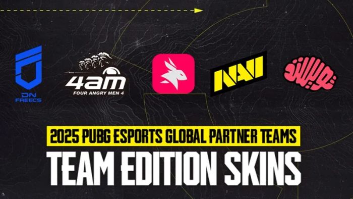 skin-team-edition-pubg-esports-2025-2