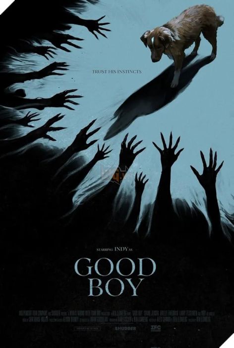 Poster chính thức của bộ phim Good Boy