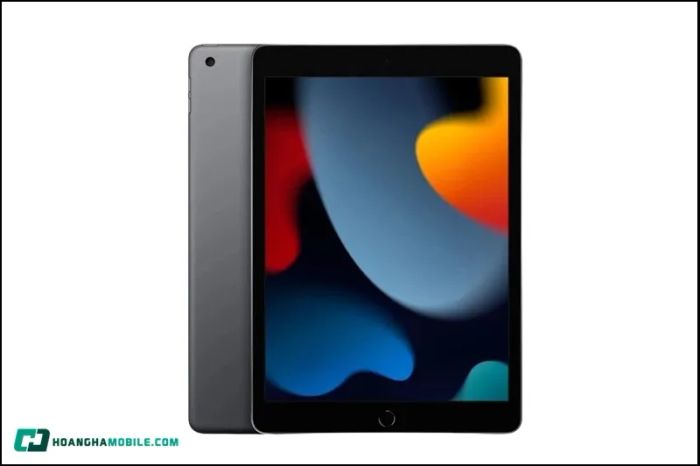 ipad-3-10