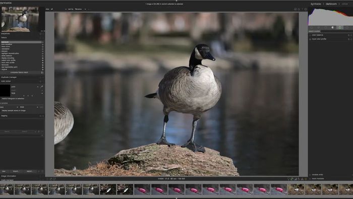 Phân tích điểm mạnh và điểm yếu giữa DarkTable và Lightroom