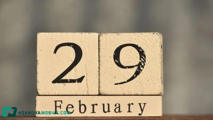 ngay-29-thang-2-1