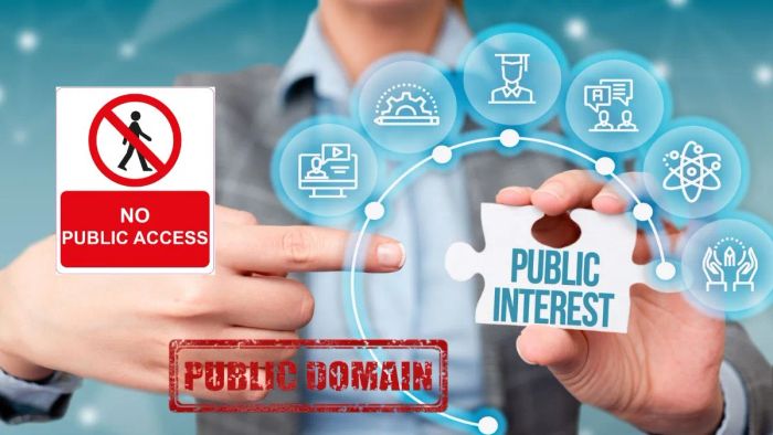Các tổ hợp từ thường thấy với Public