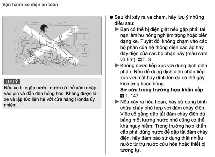 xe-dien-01.jpg
