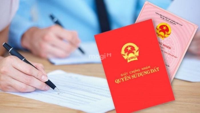 Những thắc mắc phổ biến sau khi huyện Bình Chánh hoàn tất quá trình sáp nhập