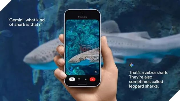 Dòng sản phẩm Pixel 10 mới từ Google được thiết kế tập trung vào công nghệ AI, có mức giá bán ra bắt đầu từ 799 USD
