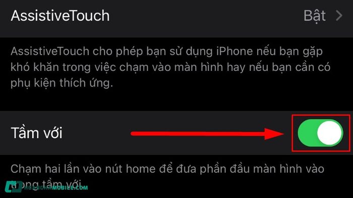 nut-home-iphone-04