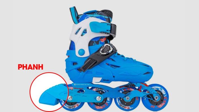 patin-9