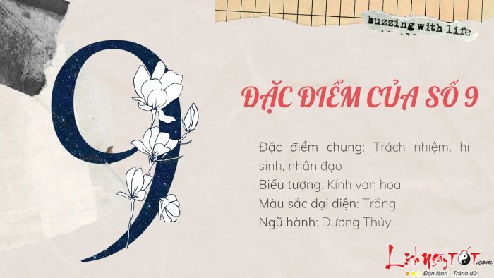 Dac diem Than so hoc So 9