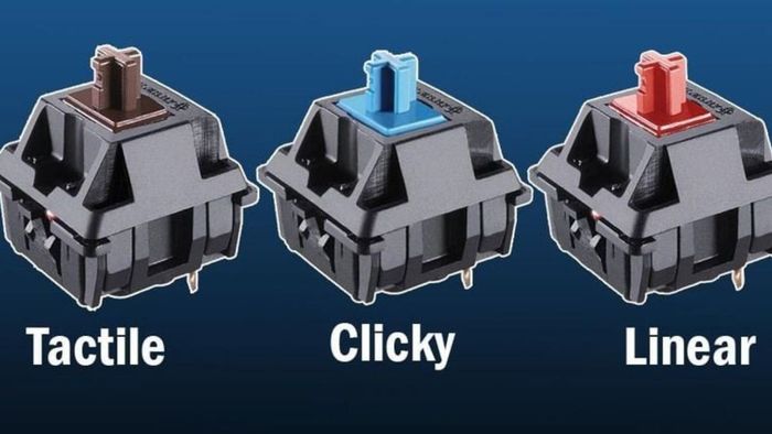 Sự khác biệt giữa các dòng Switch Linear, Tactile và Clicky