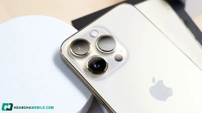gia-iphone-13-pro-max-hien-tai-bao-nhieu-co-nen-mua-o-thoi-diem-nay-2