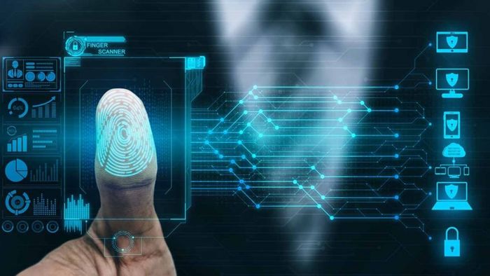 Phân loại các dạng fingerprint phổ biến 1