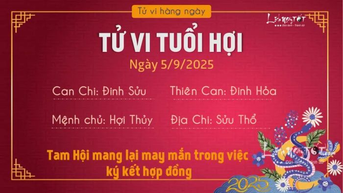 Tử vi hàng ngày 5/9/2025 của 12 con giáp - Hợi