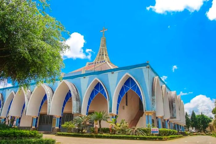 Cẩm nang du lịch Bảo Lộc 2025: Hành trình trọn vẹn và đáng nhớ 12