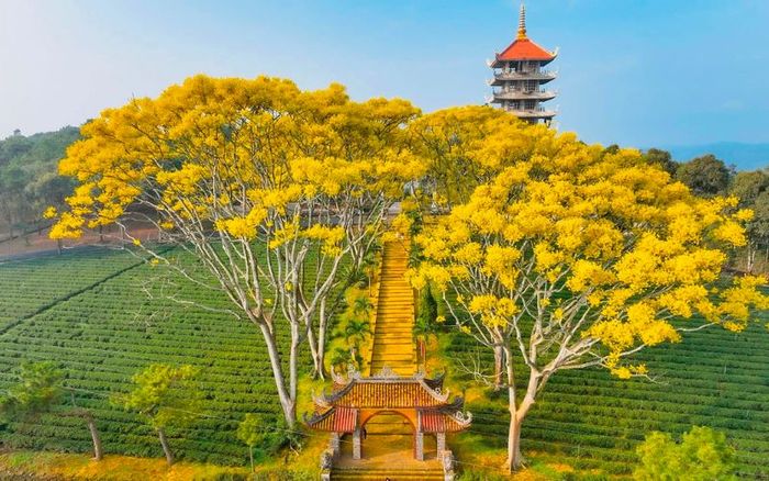Cẩm nang du lịch Bảo Lộc 2025: Hành trình trọn vẹn và đáng nhớ 11