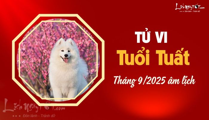 Tử vi tháng 9 năm 2025 tuổi Tuất âm lịch