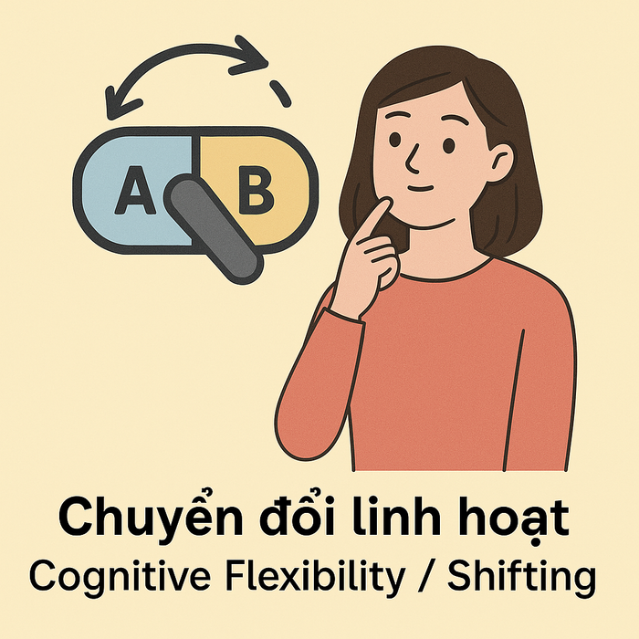Khả năng chuyển đổi linh hoạt (Cognitive Flexibility / Shifting) trong quá trình nhận thức