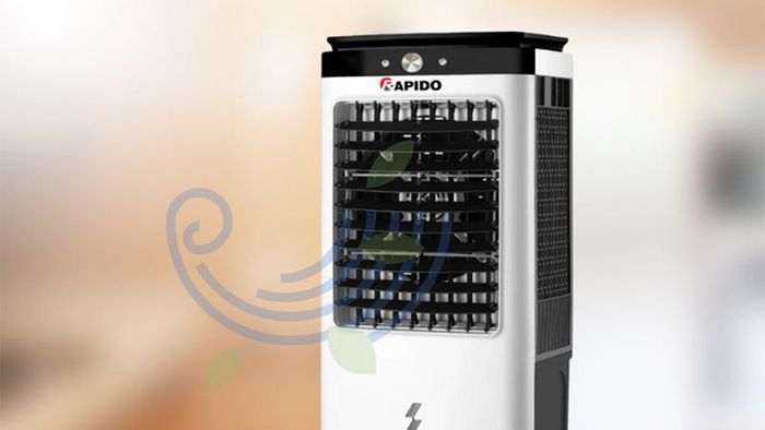 rapido-4