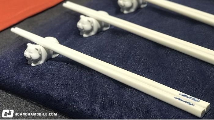 nhung-loai-dua-pho-bien-hien-nay-tren-thi-truong-nen-chon-loai-nao-tot-nhat-9