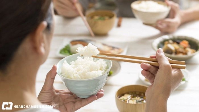 nhung-loai-dua-pho-bien-hien-nay-tren-thi-truong-nen-chon-loai-nao-tot-nhat-7