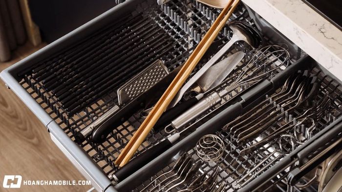 nhung-loai-dua-pho-bien-hien-nay-tren-thi-truong-nen-chon-loai-nao-tot-nhat-5