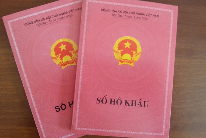 Cách thực hiện thủ tục nhận 5 triệu đồng khi sinh đủ 2 con từ A-Z hình 3