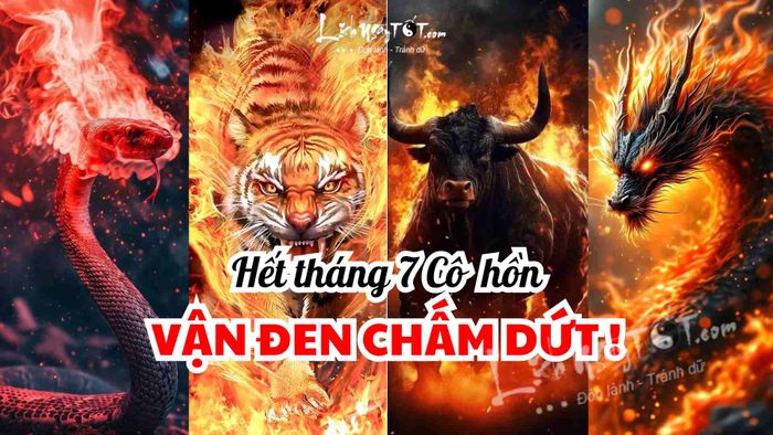 4 con giáp sẽ không còn gặp xui xẻo sau tháng 7 âm năm 2025