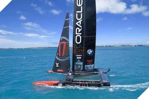 Larry Ellison Đánh Bại Elon Musk Trở Thành Người Giàu Nhất Trái Đất 2