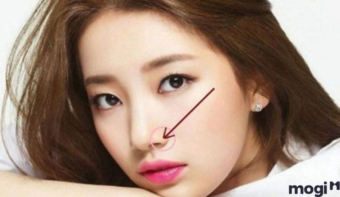Nữ giới có nốt ruồi ở cánh mũi trái sẽ có một tương lai hậu vận rất tốt đẹp