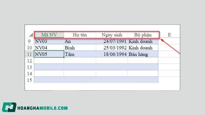 co-dinh-dong-trong-excel-13