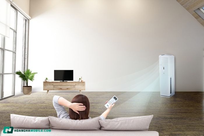 dieu-hoa-cay-dung-02